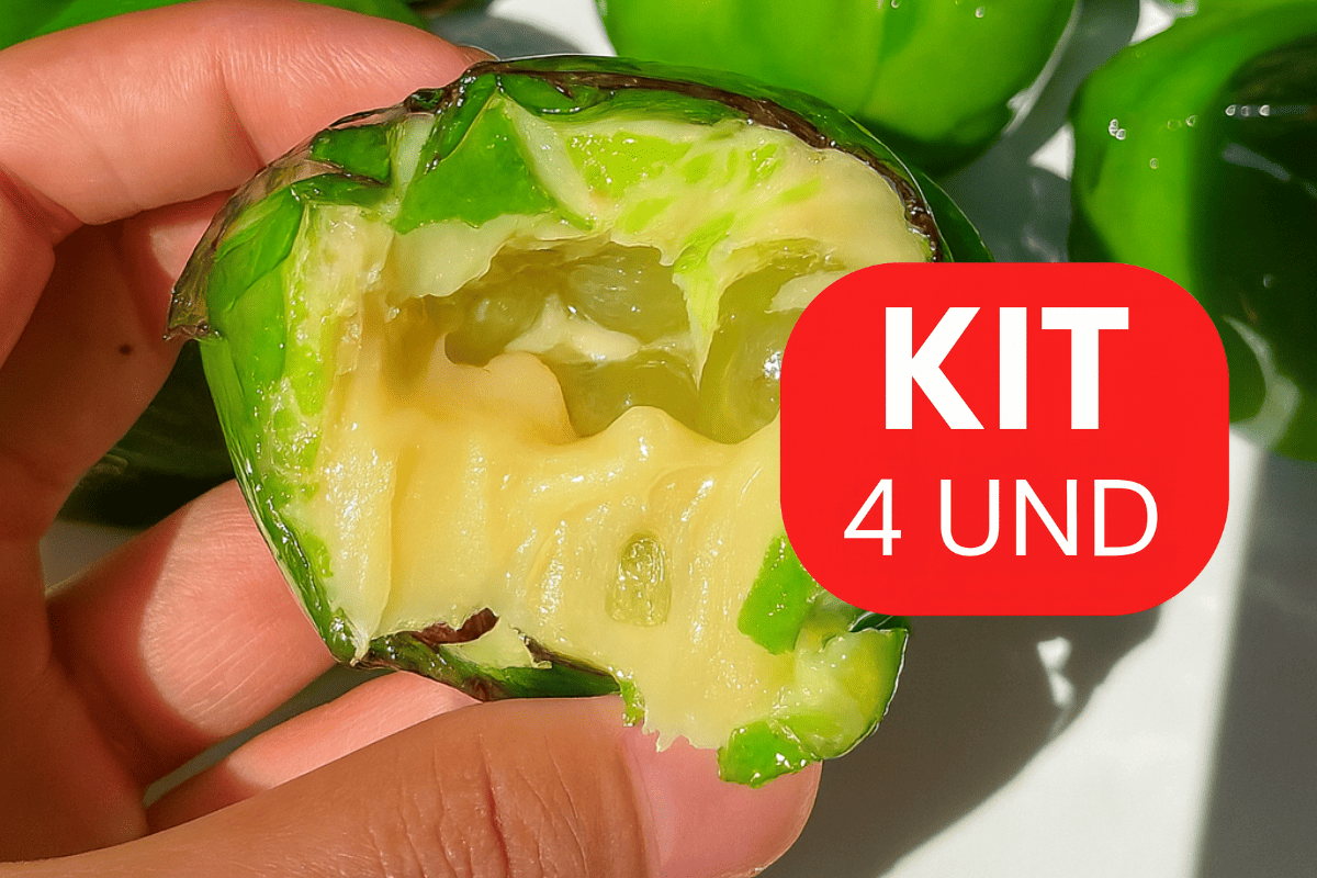 Kit Uvas do Amor — 4 unidades